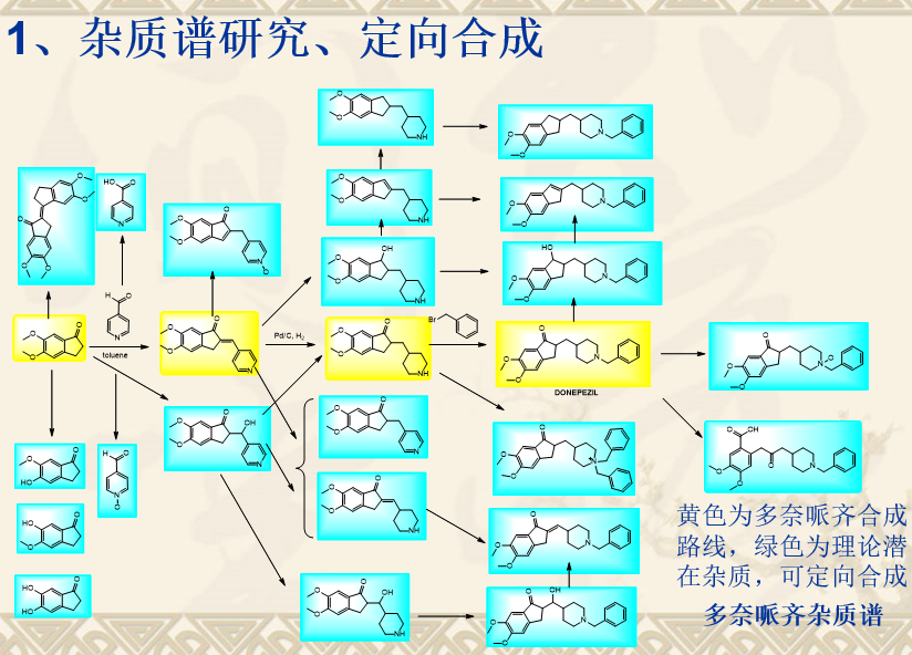 业务范围